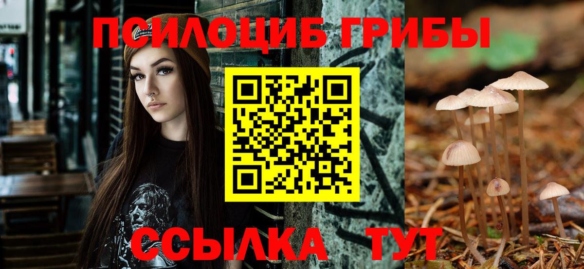 Псилоцибиновые грибы Psilocybe Аксай